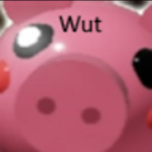 Meet your Posher, Hailey